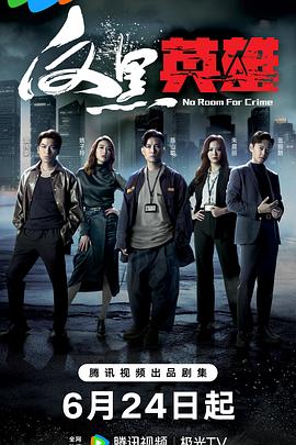 沾化网站seo优化免费咨询